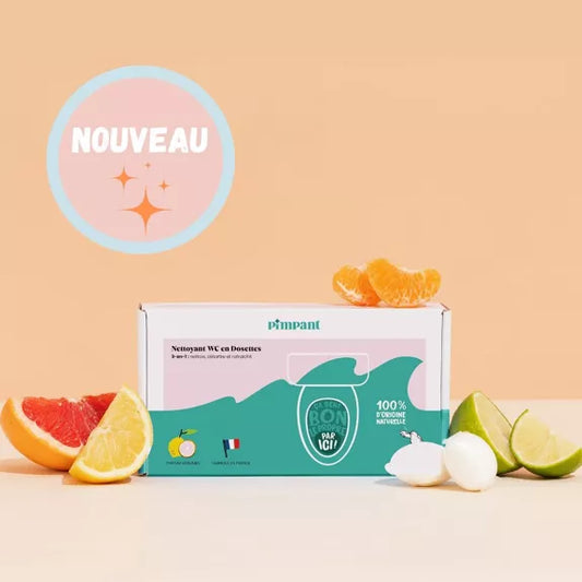 Detergent pentru toaletă PIMPANT